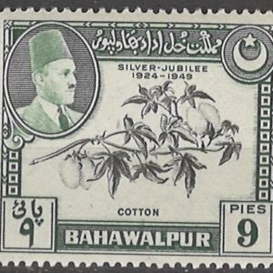 9 pies mi:pk-bh24