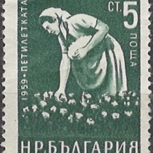 5 ct bg1145 stemplet