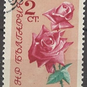 2 ct bg1301 stemplet