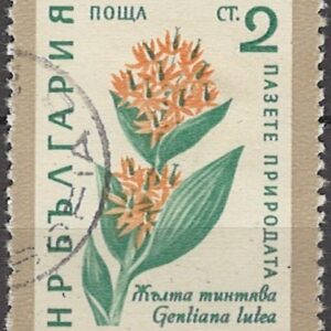 2 ct bg1160 stemplet