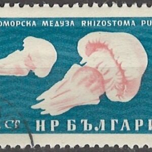 12 ct bg1215 stemplet