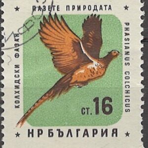 16 ct bg1200 stemplet