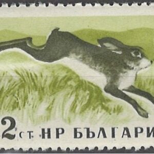 2 ct mi:bg1058