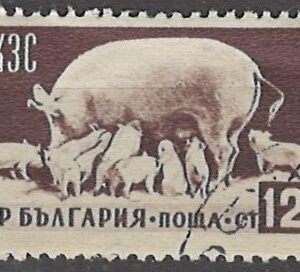 12 ct mi:bg937 stemplet