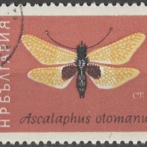 1 ct bg1412 stemplet