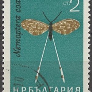 2 ct bg1413 stemplet