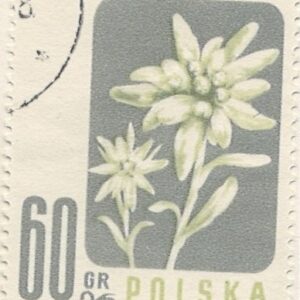 60 gr pl912 stemplet hængslet