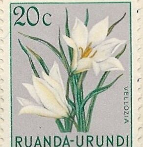 20 c mi:rv-u135 hængslet
