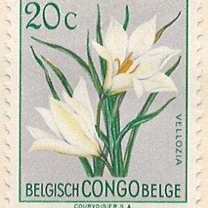 20 c mi:be-cd297 hængslet