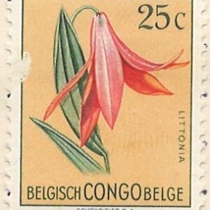 25 c mi:be-cd298 hængslet