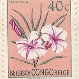 40 c mi:be-cd299 hængslet