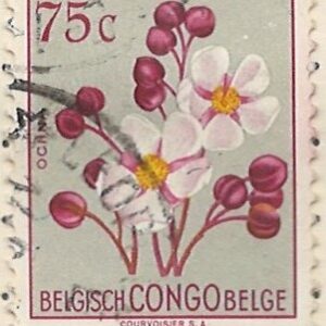 75 c mi:be-cd302 hængslet